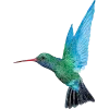 Caribbean Airlines